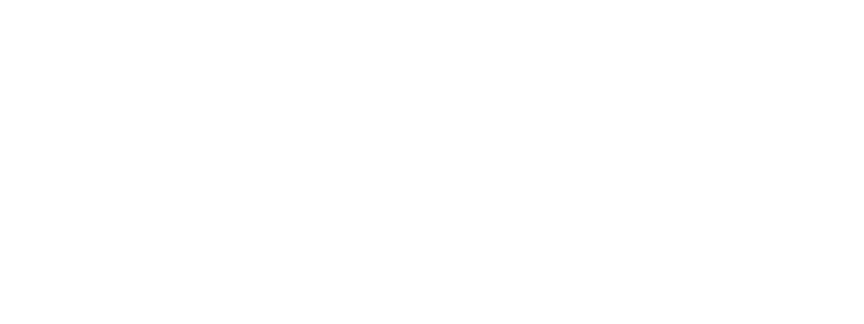 WS Logo Biocon white