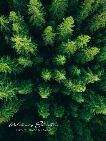 WS Diversity Mining FC