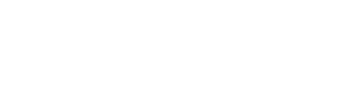 WS Logo Blackrock white