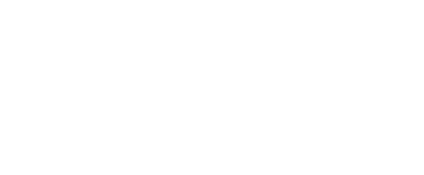 WS Logo Dyson white