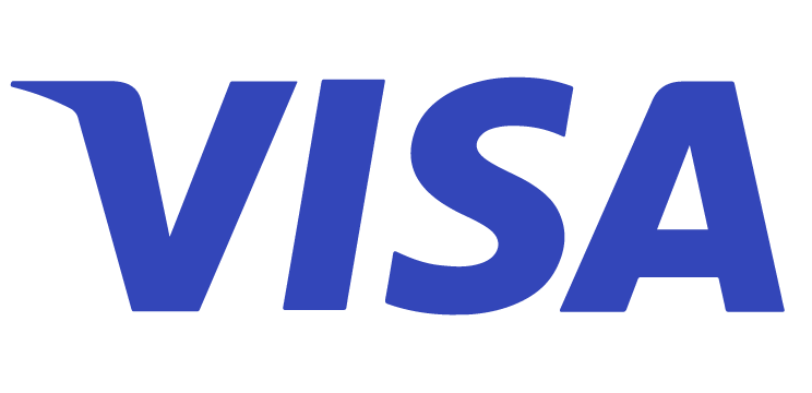WS Logo Visa