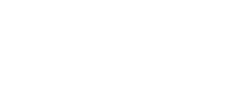WS Logo Visa white
