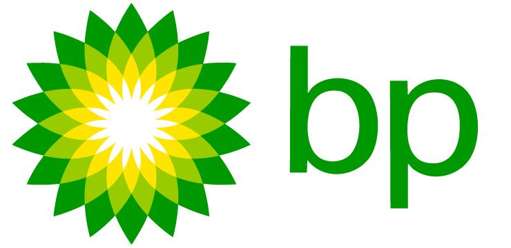 WS Logo bp
