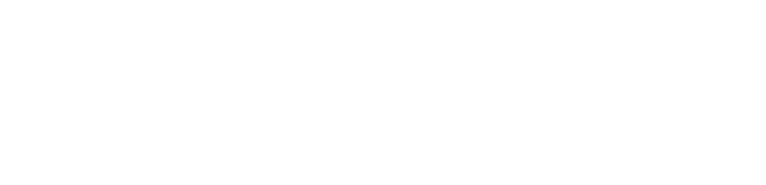 WS Logo hyundai white